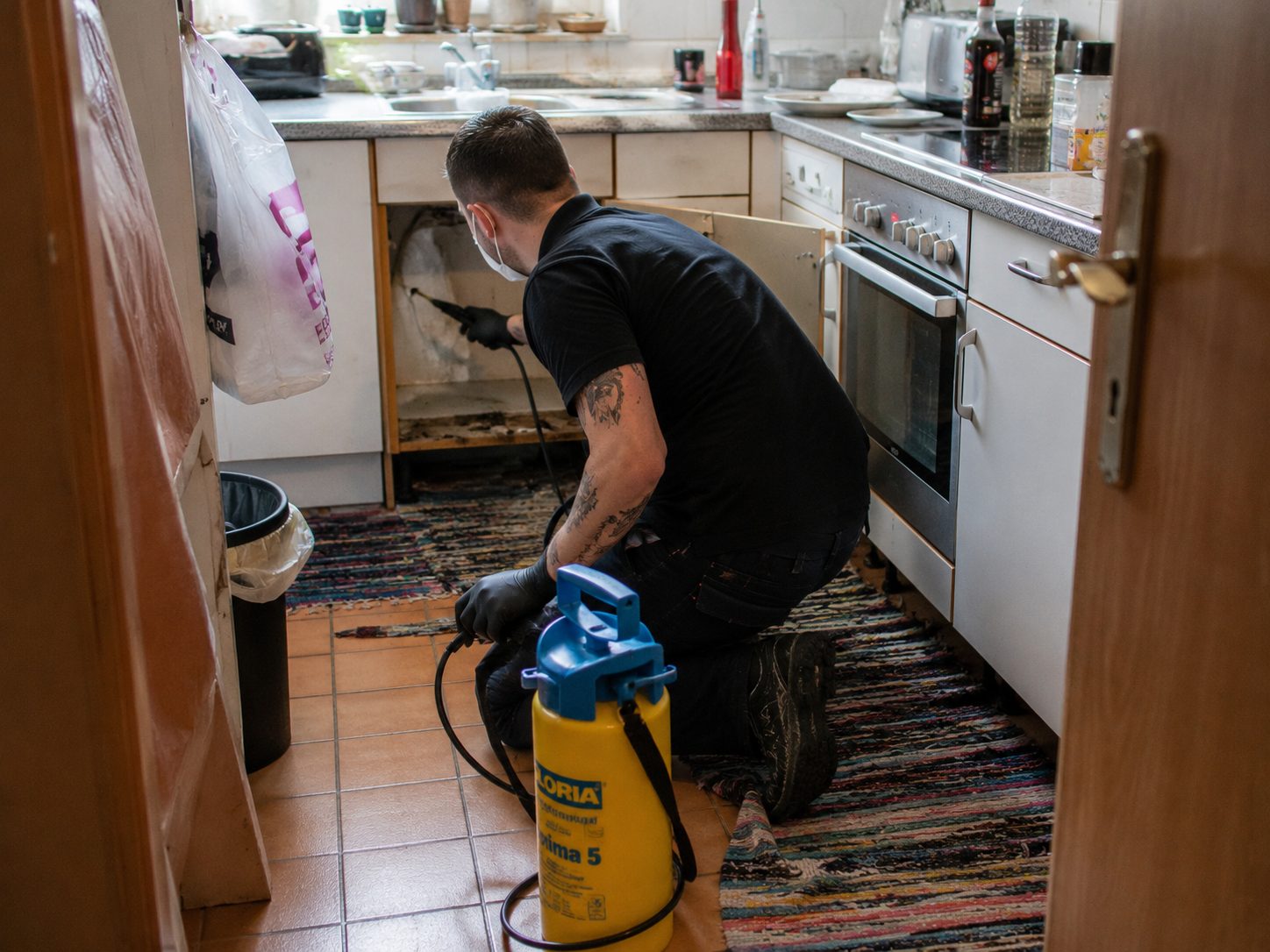 Schädlingsbekämpfer bei der Behandlung einer Altbauküche im Rheinland